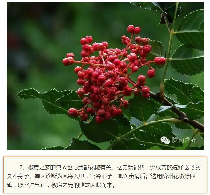 蘭渝鐵路最早由孫中山先生提出？在隴南，你不知道的事兒還有……