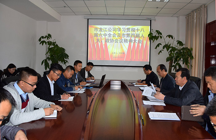 市龍江公司召開全體員工大會，專題傳達學(xué)習(xí)上級會議精神