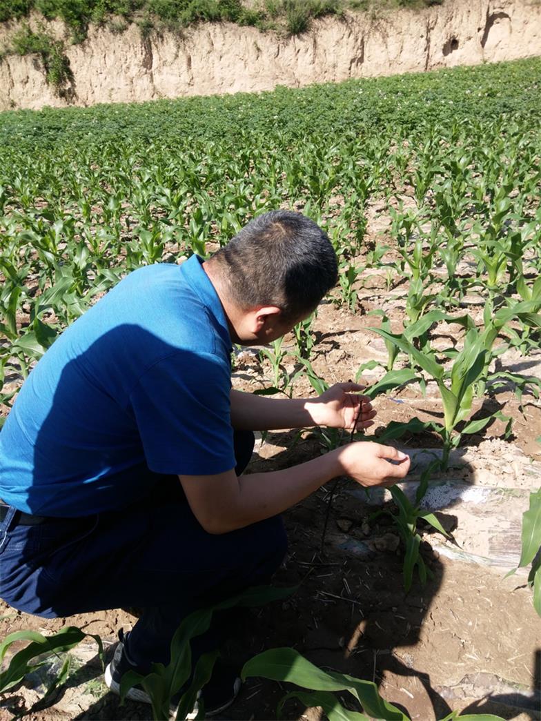 市龍江城鄉(xiāng)發(fā)展集團(tuán)深入幫扶村開(kāi)展突出問(wèn)題排查整改落實(shí)工作