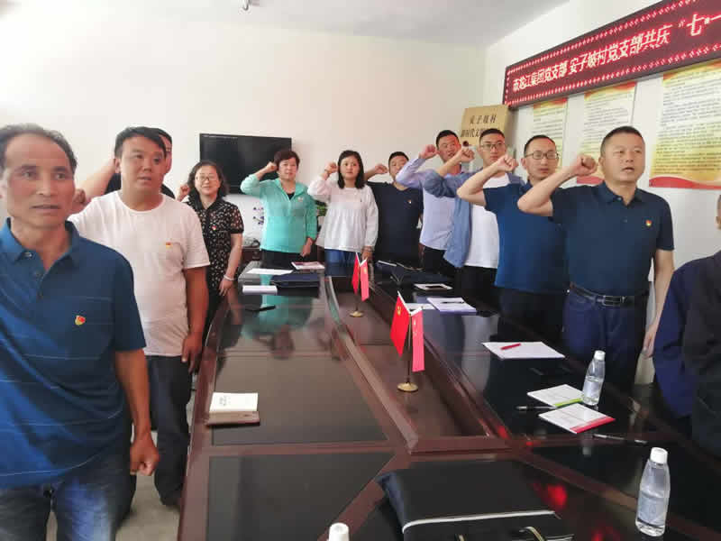 “感黨恩、憶黨史”，--市龍江城鄉(xiāng)發(fā)展集團(tuán)公司開(kāi)展慶祝建黨99周年主題黨日活動(dòng)